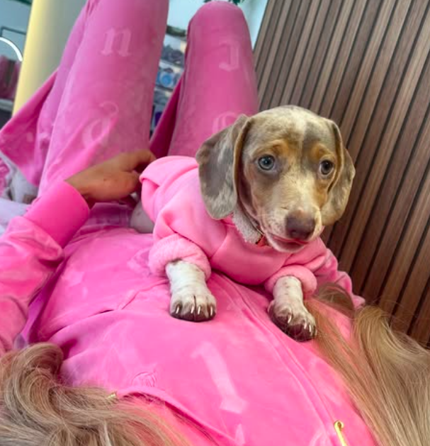 screenshot 2025 11 23 at 08.40.07